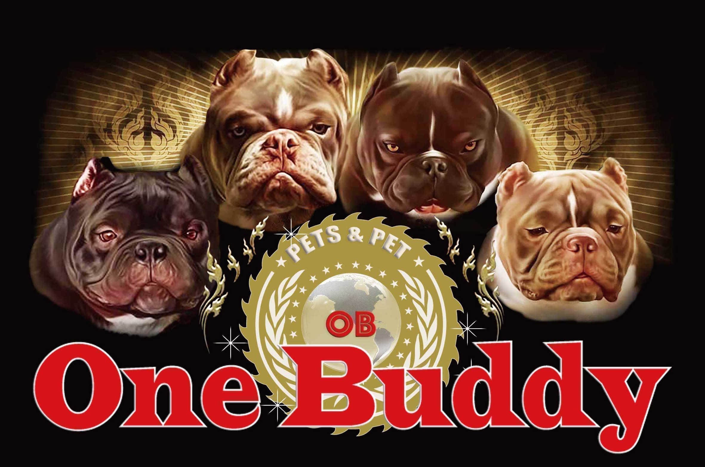 Pets&Pet One BuddyあかやまJOY店